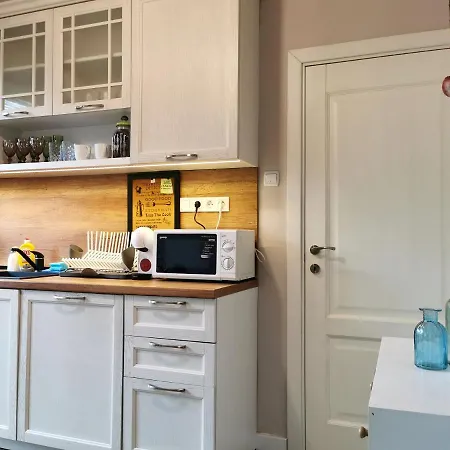 Apartment Beautifully Decorated Functional
